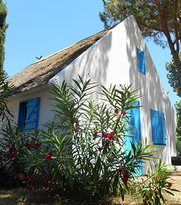 Location maison Camarguaise à Palavas
