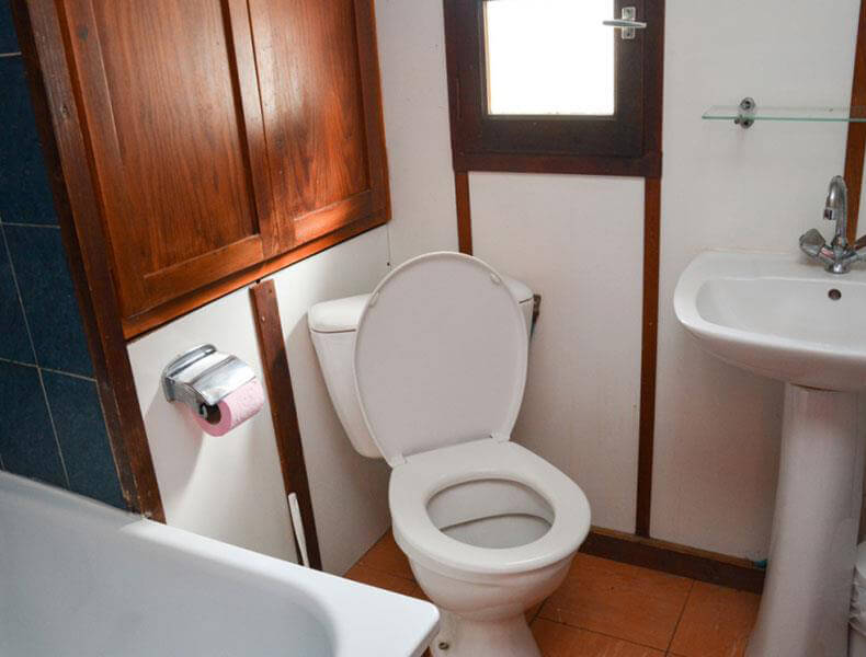 Salle de Bain WCLocation Cabane camarguaise 2/4 personnes