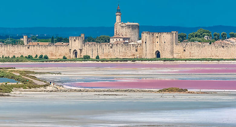 Aigues-Mortes en Petite Camargue